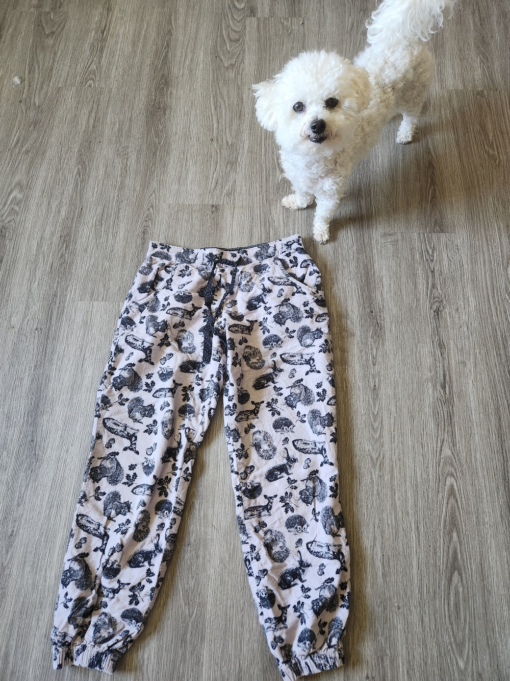 George Brand Lounge Joggers Pajamas - Womens Medium